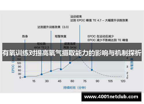 有氧训练对提高氧气摄取能力的影响与机制探析